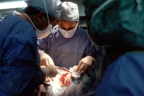 The Ethics of Organ Transplants
