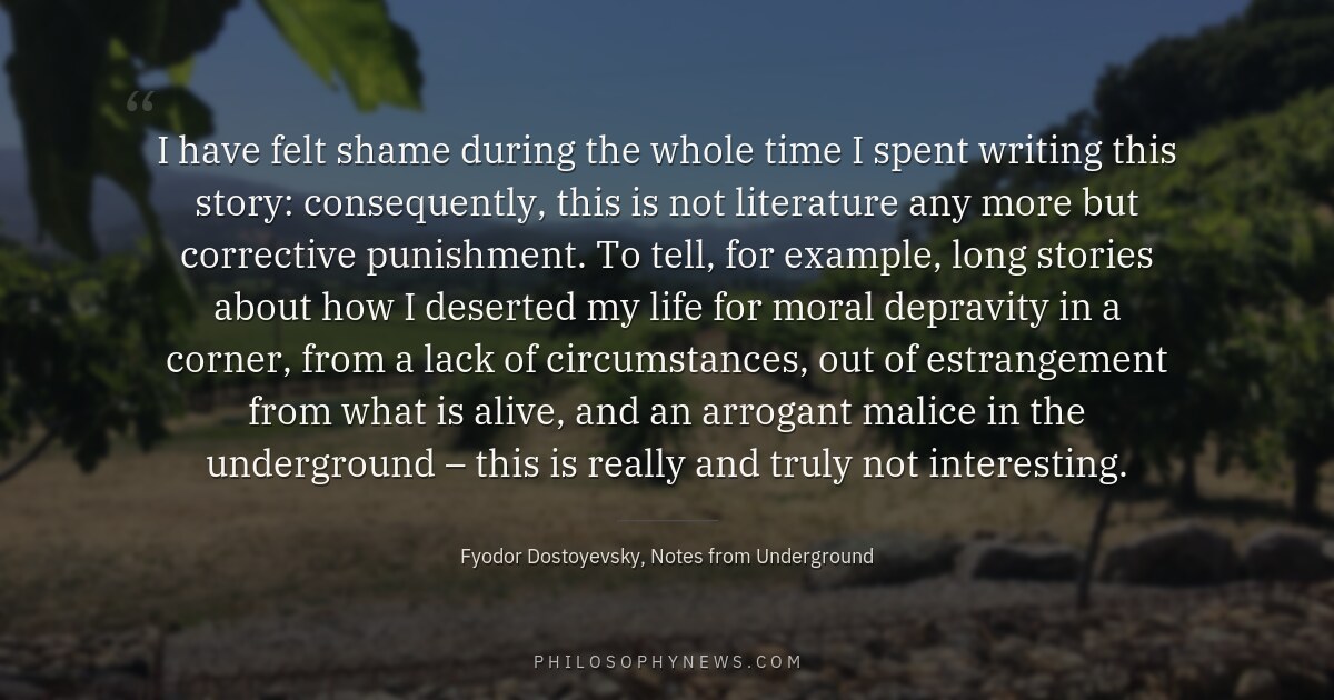 I have felt shame during the whole time I spent writing this story: consequently, this is not literature any more…