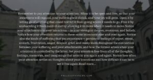 Remember to pay attention to your attention. Allow it to be open and free, so that your awareness will expand,…